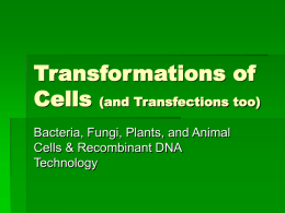 Transformations of Cells