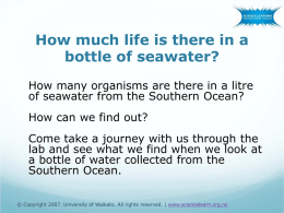 How much life is in a litre of sea water