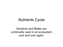 Nutrients Cycle
