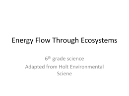 Energy Flow Through Ecosystems
