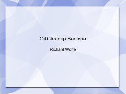 Oil Clean Up by Bacteria
