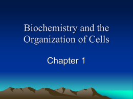Biochemistry and the Organization of Cells