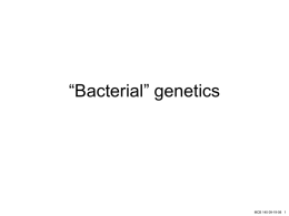 “Bacterial” genetics I - Department of Molecular & Cell Biology