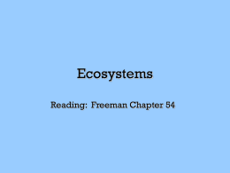 Ecosystems And Global Ecology