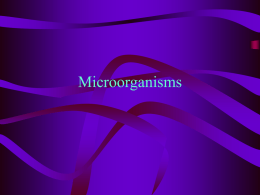 Microorganisms - Glen Rose FFA