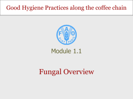 Fungal Overview - International Coffee Organization