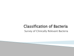 Classification of Bacteria Clinically Relevant Bacteria