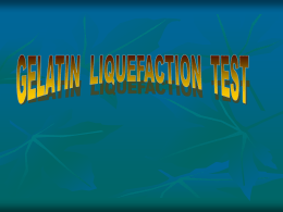 Lab 9 – gelatin_test