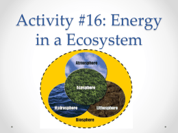 Energy in an Ecosystem ppt