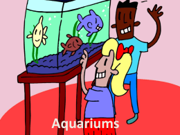 Aquariums - Allen ISD