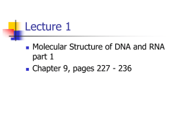 Molecular Structure of DNA and RNA part 1 powerpoint