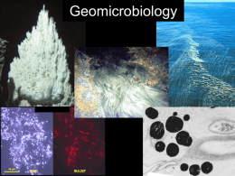 Geomicrobiology Intro