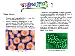 Viruses_Summary (1)