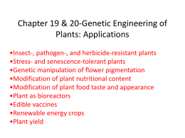 Plant Genetic Engineering: Applications