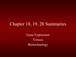 Chapter 18, 19, 20 Summaries