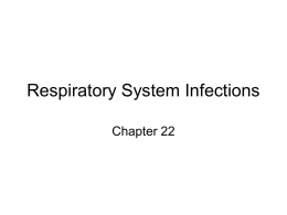 Respiratory System Infections