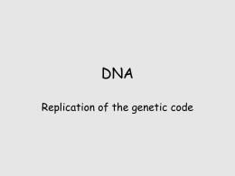 DNA replication - Seattle Central College