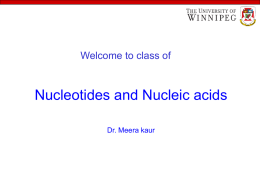 Nucleotides and Nucleic acids