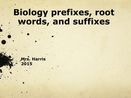biology prefix suffix ppt 2015