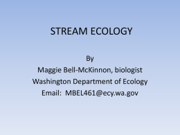 Stream Ecology PPT