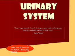 urinary system - OCPS TeacherPress
