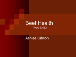 Beef Health