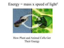 Energy=mass x speed of light²