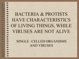 bacteria & protists have characteristics of living things, while viruses