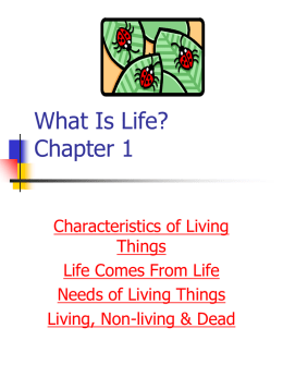 What Is Life - lpeaks7thscience
