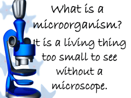 What is a microorganism?