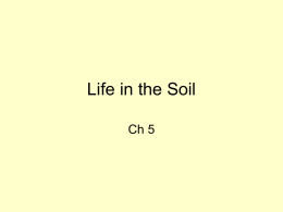 Life in the Soil - Mineral Area College