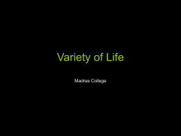 Variety of Life - Madras College