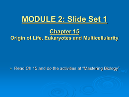 Mod 2: Ch15 Set 1