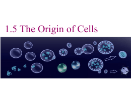 1.5 The Origin of Cells Lesson
