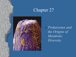Ch.27 Prokaryote Diversity