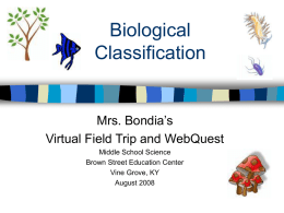 Biological Classification WebQuest