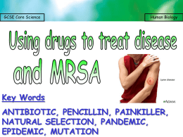 4.3 using drugs to treat disease and MRSA - science