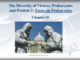 The Diversity of Viruses, Prokaryotes and Protists 2