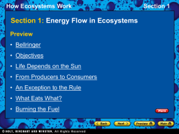 How Ecosystems Work Section 1