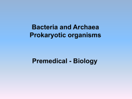 Prokaryotic organisms