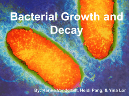Bacterial Growth and Decay