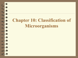 Chapter 1: The Microbial World and You