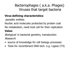 Virus defining characteristics