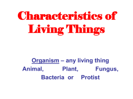 Characteristics of Living Things Organism