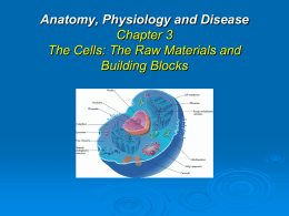 Anatomy, Physiology and Disease Chapter 3 The Cells: The Raw