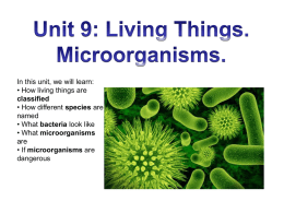 Unit 9 Living Things
