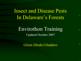 Insects and Disease - Delaware ENVIROTHON