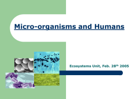 lesson_19_good_microorganisms