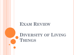 Exam Review - Diversity of Living Things