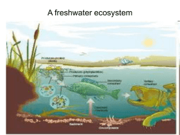 3.Pond ecosystem and productivity